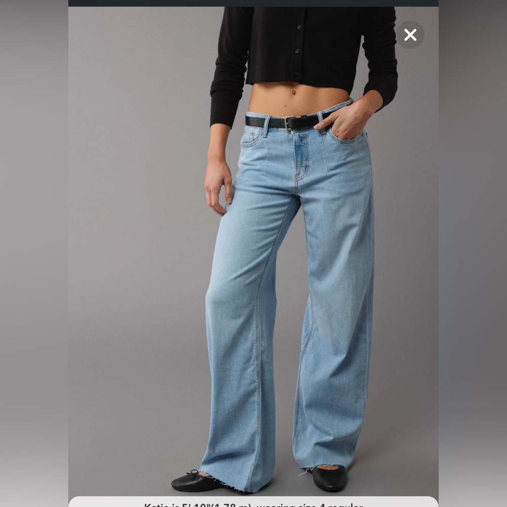 American Eagle Outfitters Low Rise Wide Leg Baggy Jeans